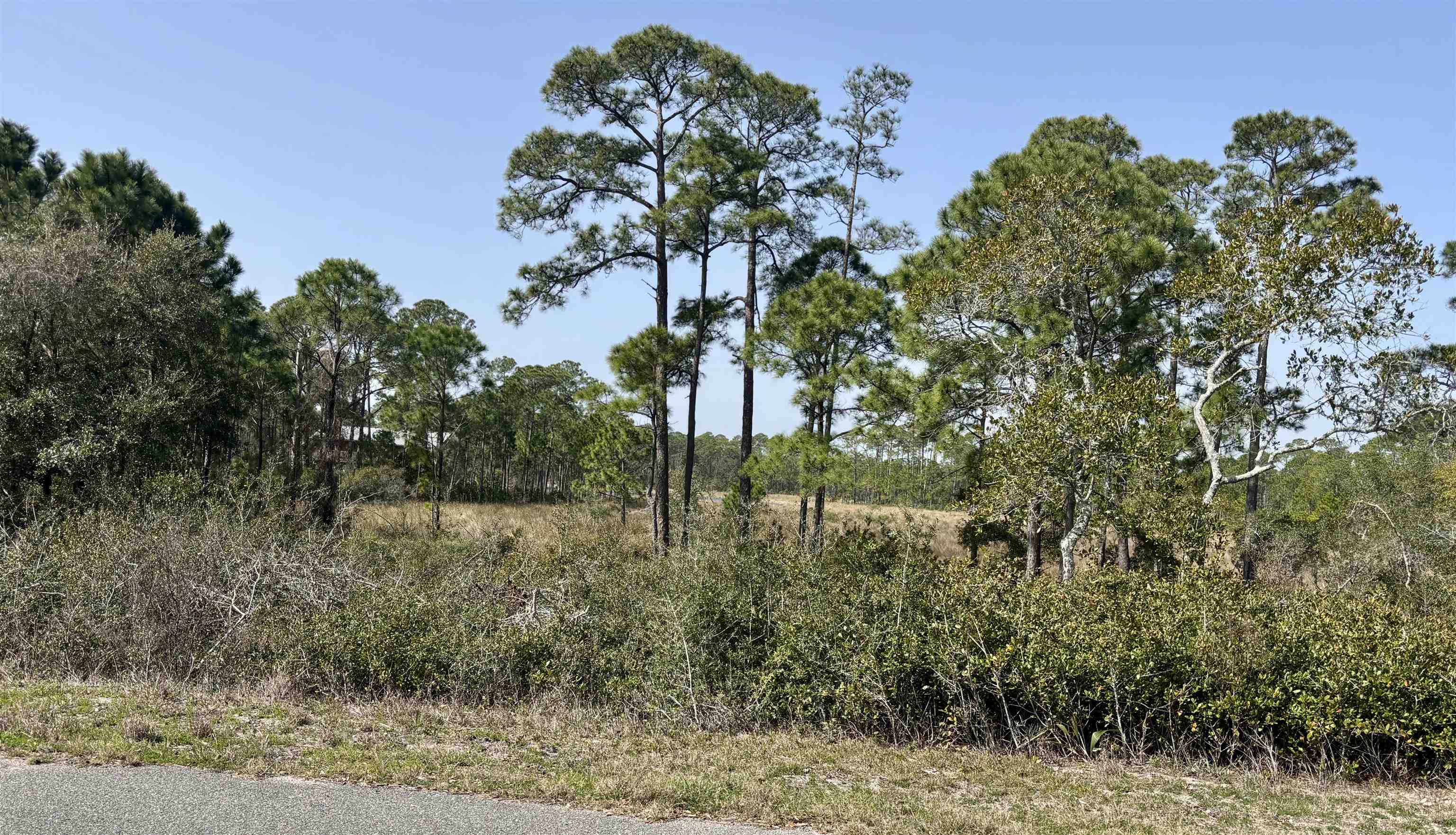 643-647 Bald Point Road Alligator Point, FL 32346 - Photo 1 of 2