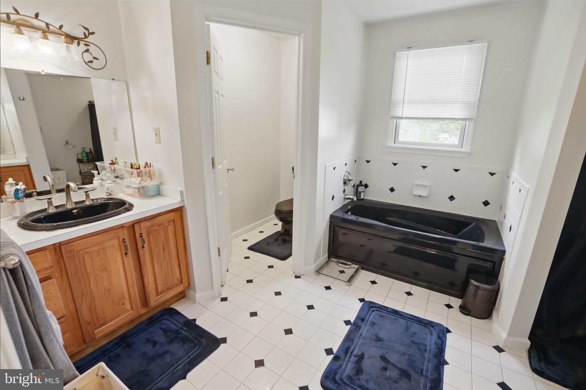 3494 Finland Road Pennsburg, PA 18073 - Photo 23 of 63 a bathroom with a sink toilet and mirror