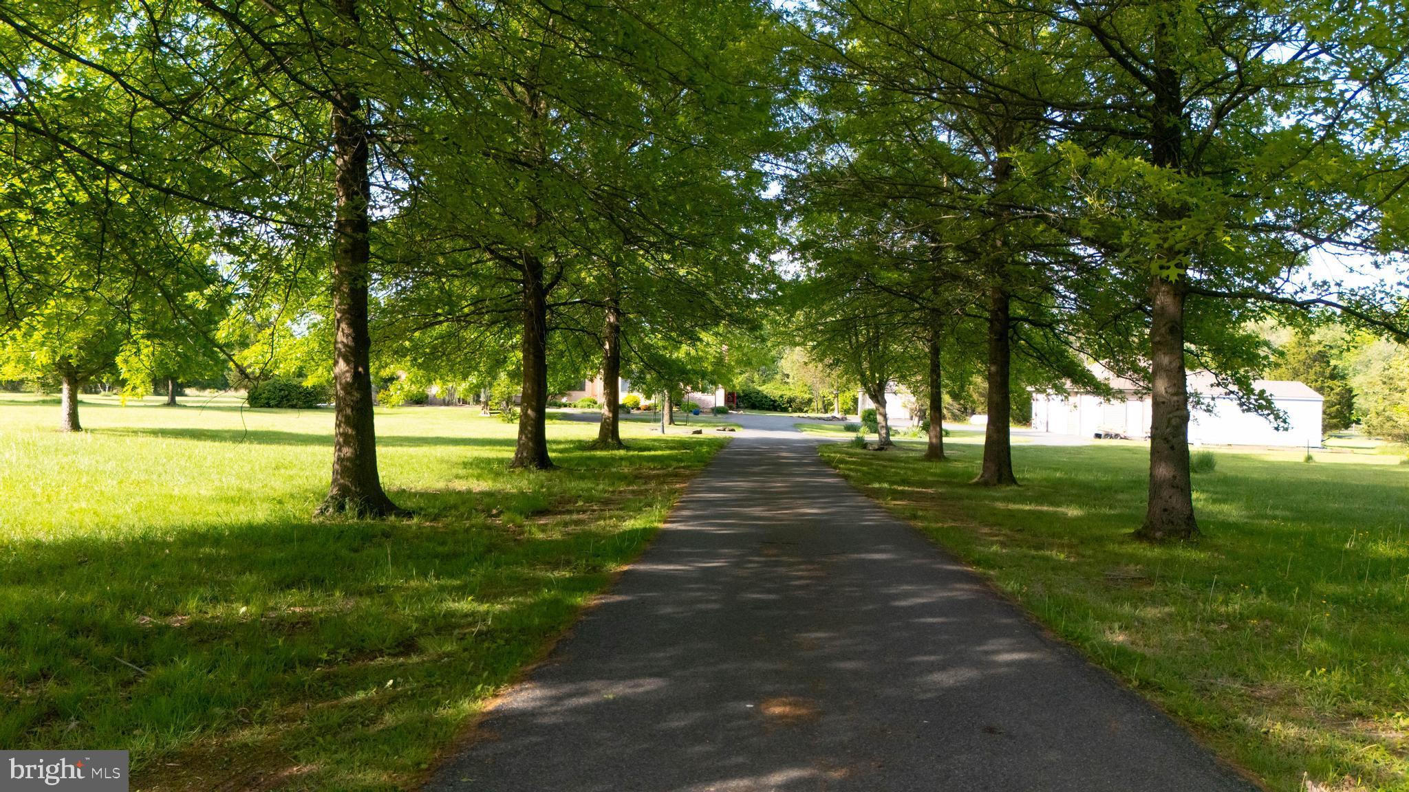 3494 Finland Road Pennsburg, PA 18073 - Photo 44 of 63 a big yard with trees