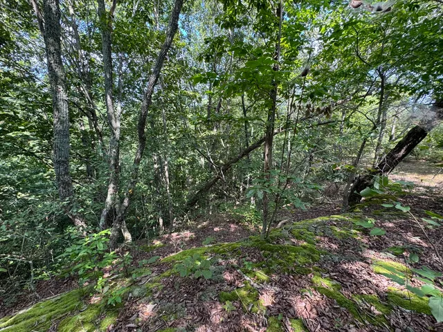 $240,000 | 0 Box House Road, Belvidere, TN 37306