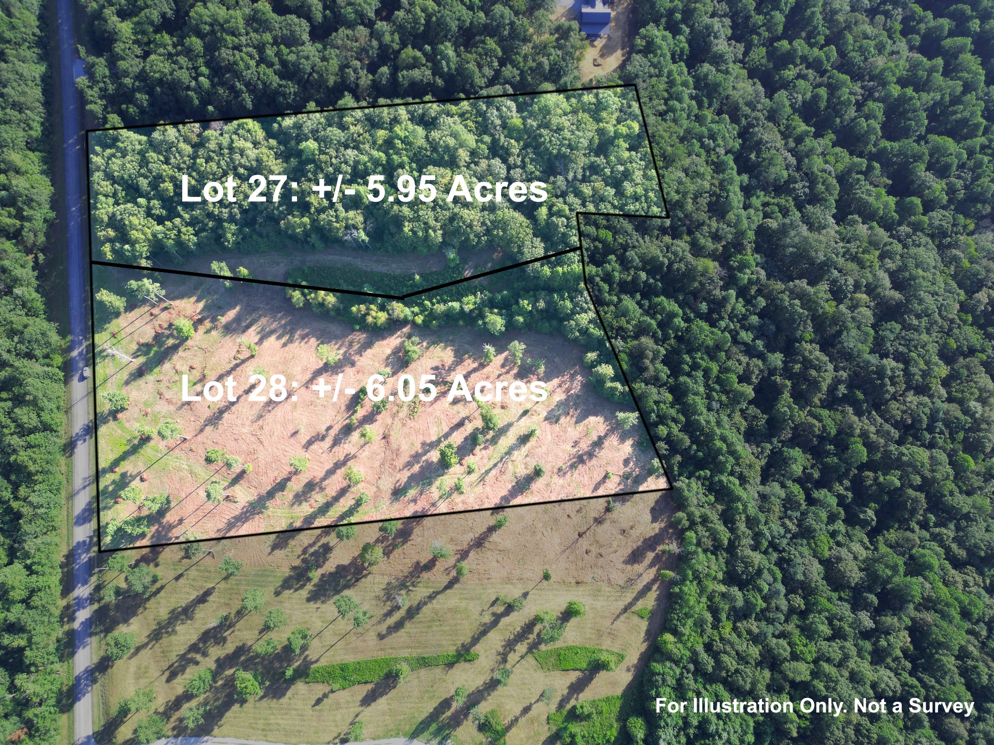 0 Box House Road Belvidere, TN 37306 - Photo 2 of 22 a view of a yard