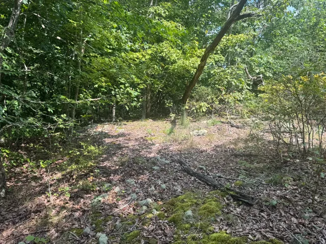 $240,000 | 0 Box House Road, Belvidere, TN 37306