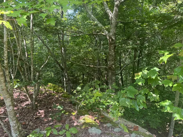 $240,000 | 0 Box House Road, Belvidere, TN 37306