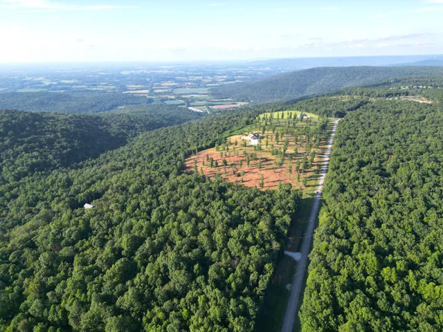a view of a field with an ocean