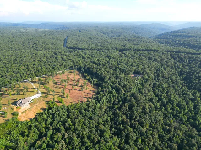 a big yard with lots of green space and deers