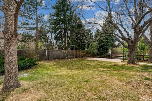 a view of a yard with a trees