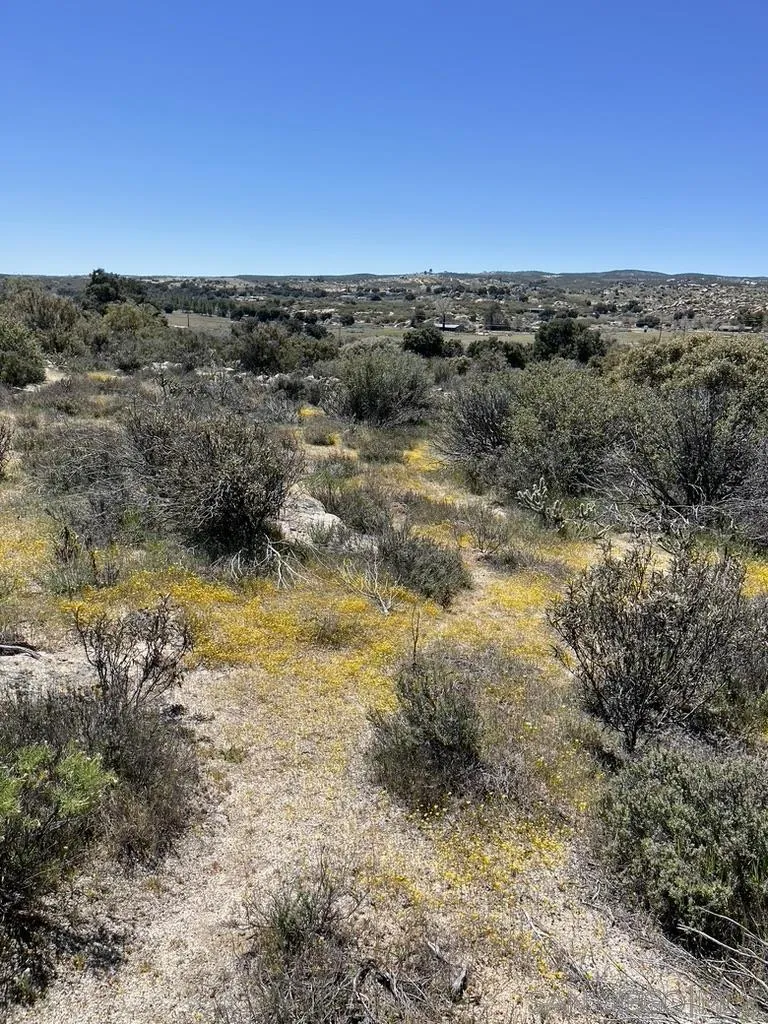 2885 Ribbonwood Road, Unit 5 Boulevard, CA 91905 - Photo 5 of 6 a view of a lake in middle of the forest
