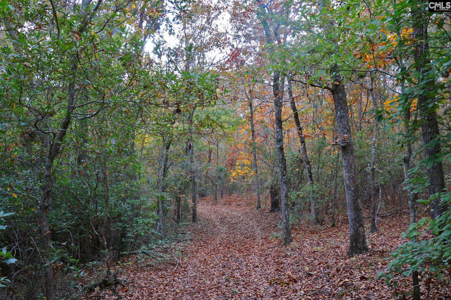 Tbd Browns Pond Road Wagener, SC 29164 - Photo 39 of 48