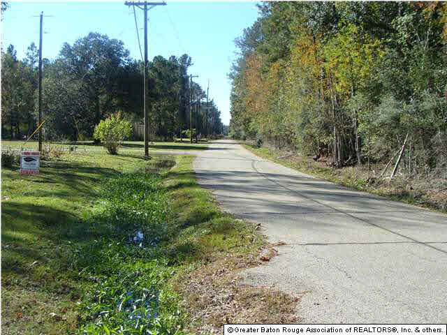 0 Old Doyle Road Livingston, LA 70754 - Photo 2 of 7 Gallery Image 2