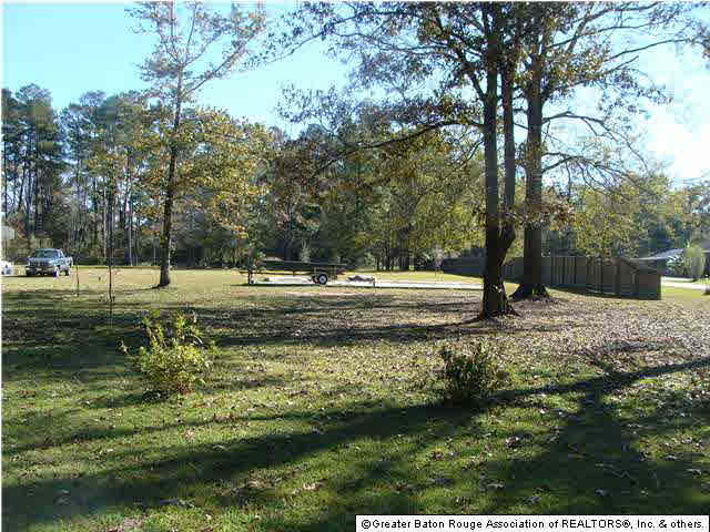 0 Old Doyle Road Livingston, LA 70754 - Photo 4 of 7 Gallery Image 4