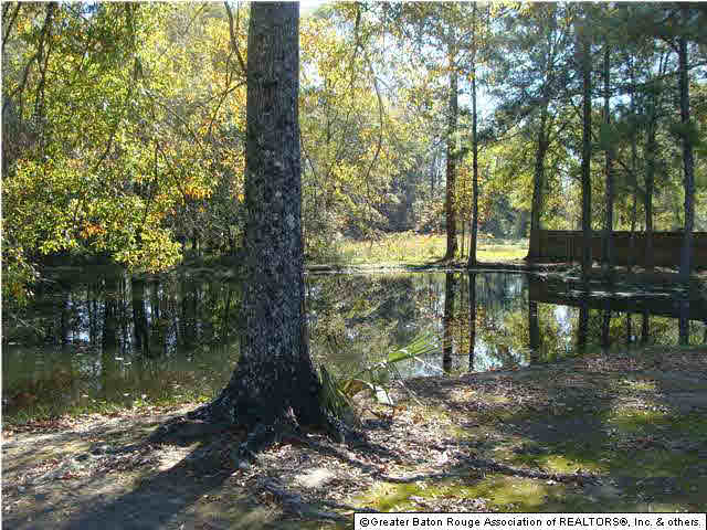 0 Old Doyle Road Livingston, LA 70754 - Photo 5 of 7 Gallery Image 5