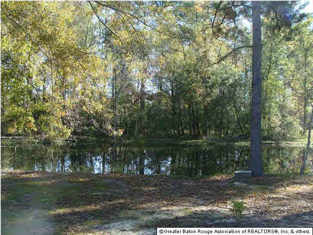 0 Old Doyle Road Livingston, LA 70754 - Photo 6 of 7 Gallery Image 6