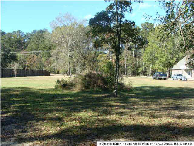 0 Old Doyle Road Livingston, LA 70754 - Photo 7 of 7 Gallery Image 7