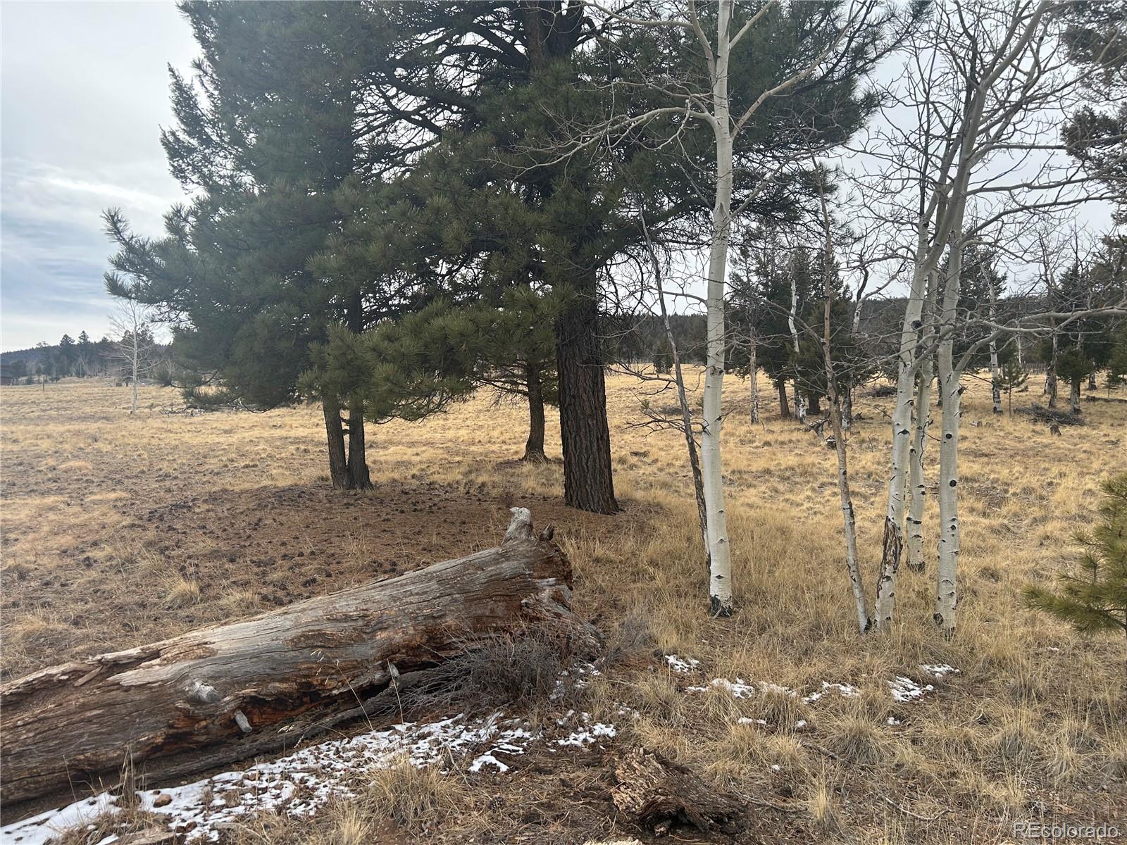 1421 Pitchfork Road Hartsel, CO 80449 - Photo 11 of 15 Gallery Image 11