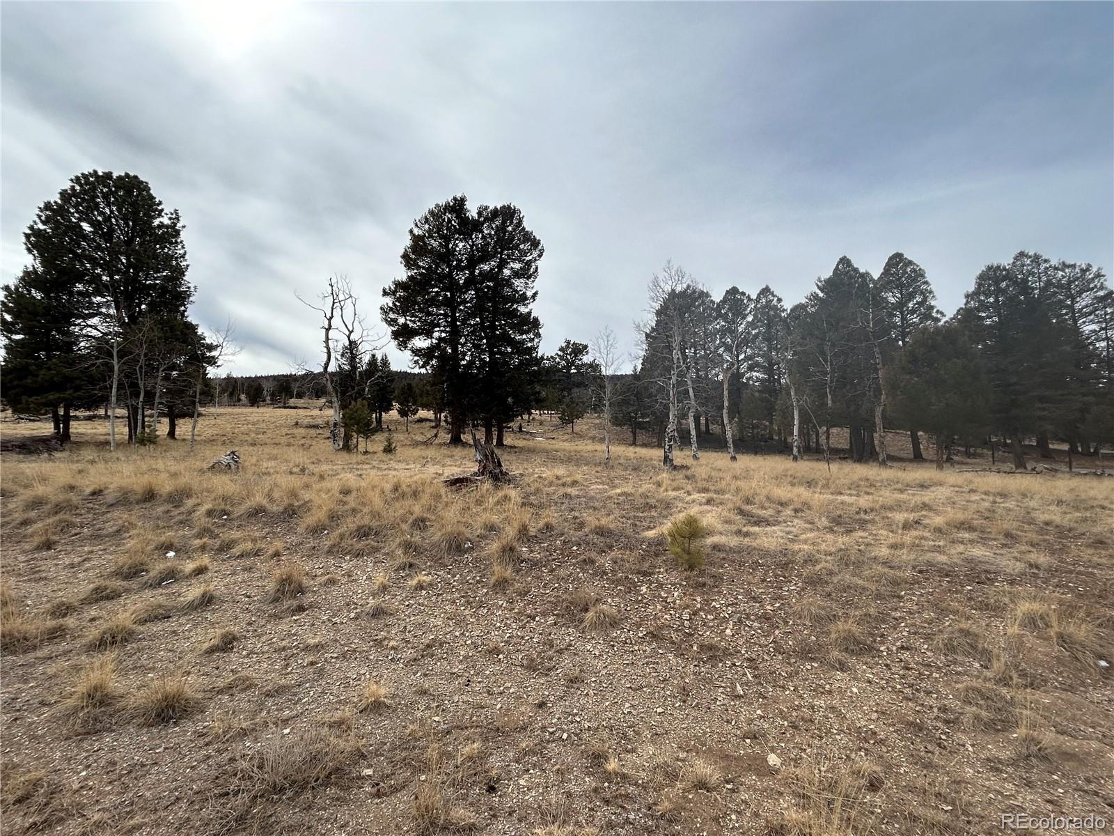 1421 Pitchfork Road Hartsel, CO 80449 - Photo 12 of 15 Gallery Image 12