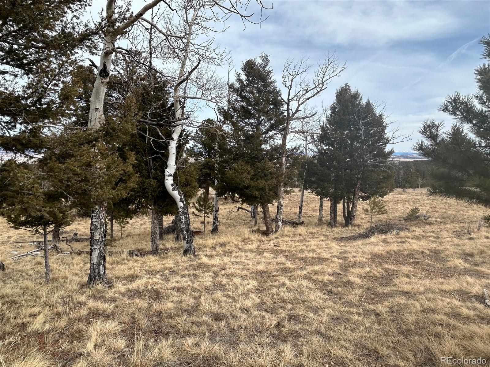 1421 Pitchfork Road Hartsel, CO 80449 - Photo 13 of 15 Gallery Image 13