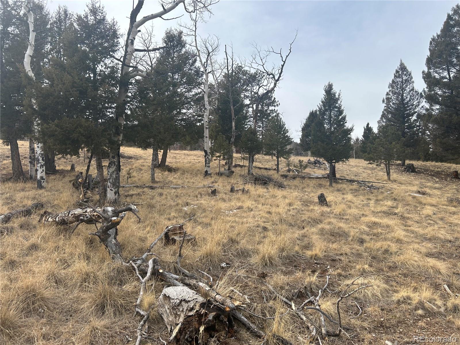1421 Pitchfork Road Hartsel, CO 80449 - Photo 14 of 15 Gallery Image 14