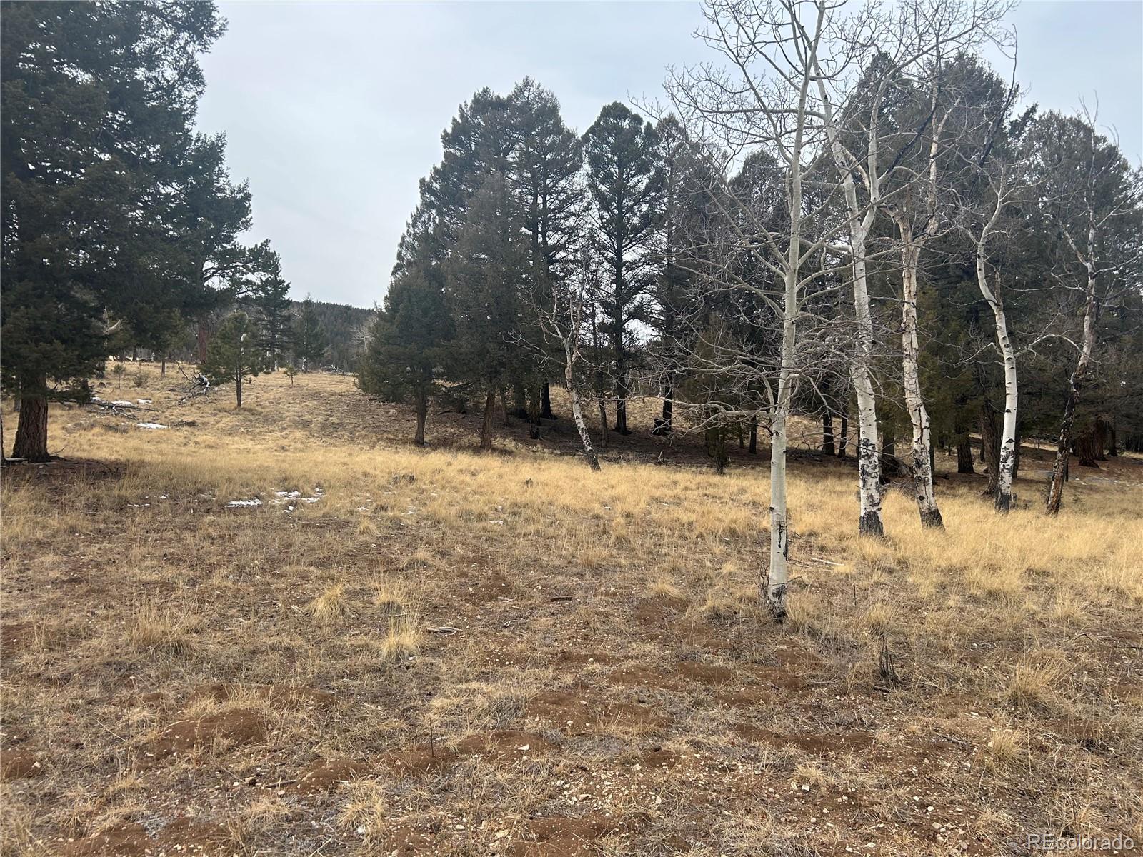 1421 Pitchfork Road Hartsel, CO 80449 - Photo 15 of 15 Gallery Image 15