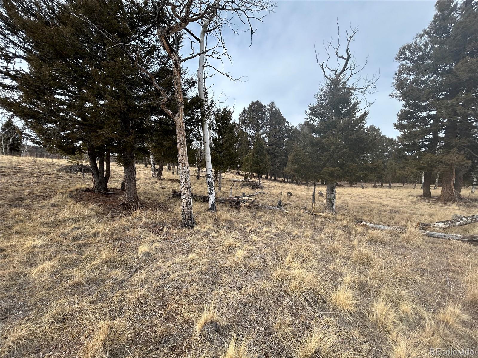 1421 Pitchfork Road Hartsel, CO 80449 - Photo 3 of 15 Gallery Image 3