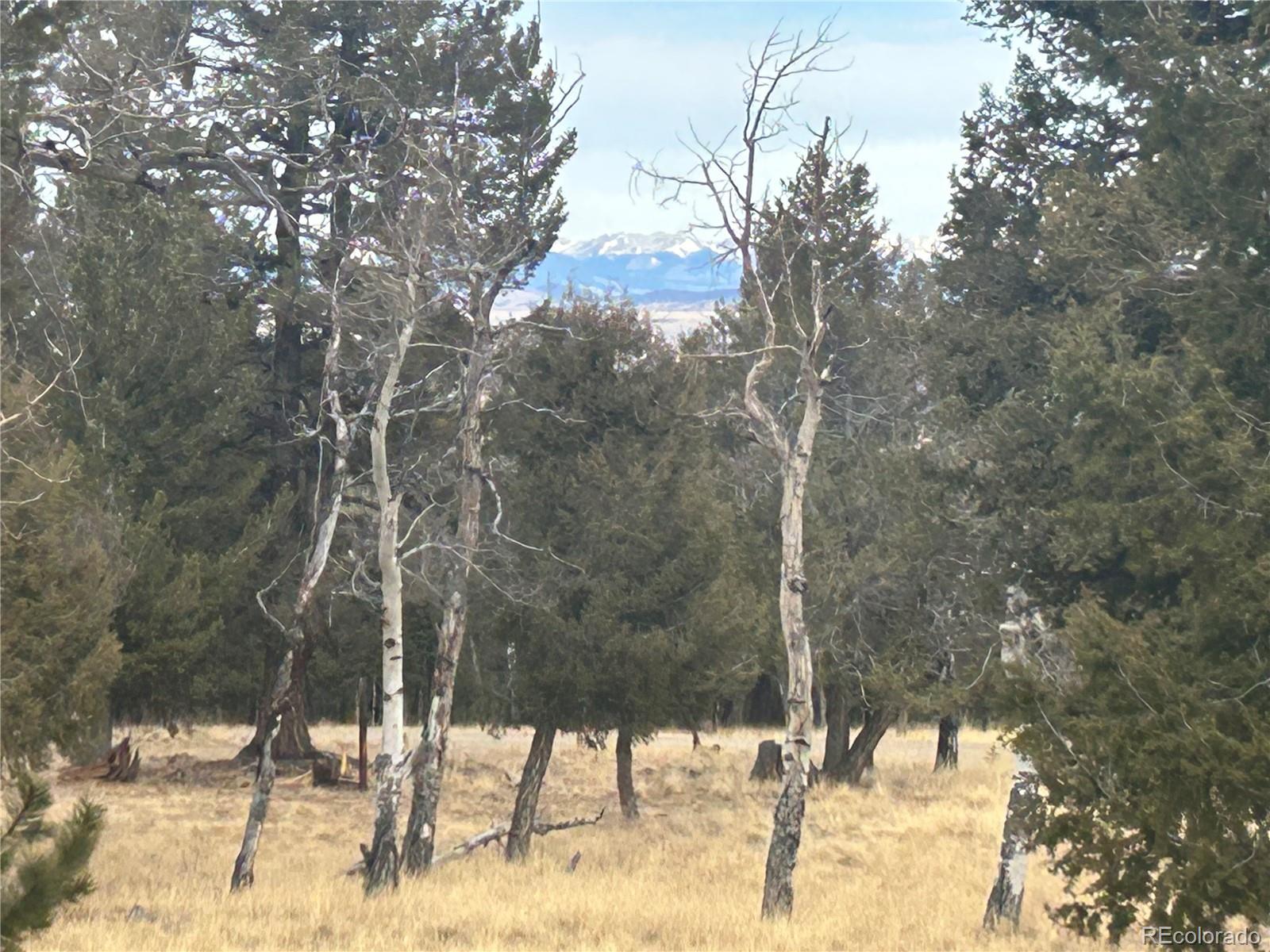 1421 Pitchfork Road Hartsel, CO 80449 - Photo 7 of 15 Gallery Image 7