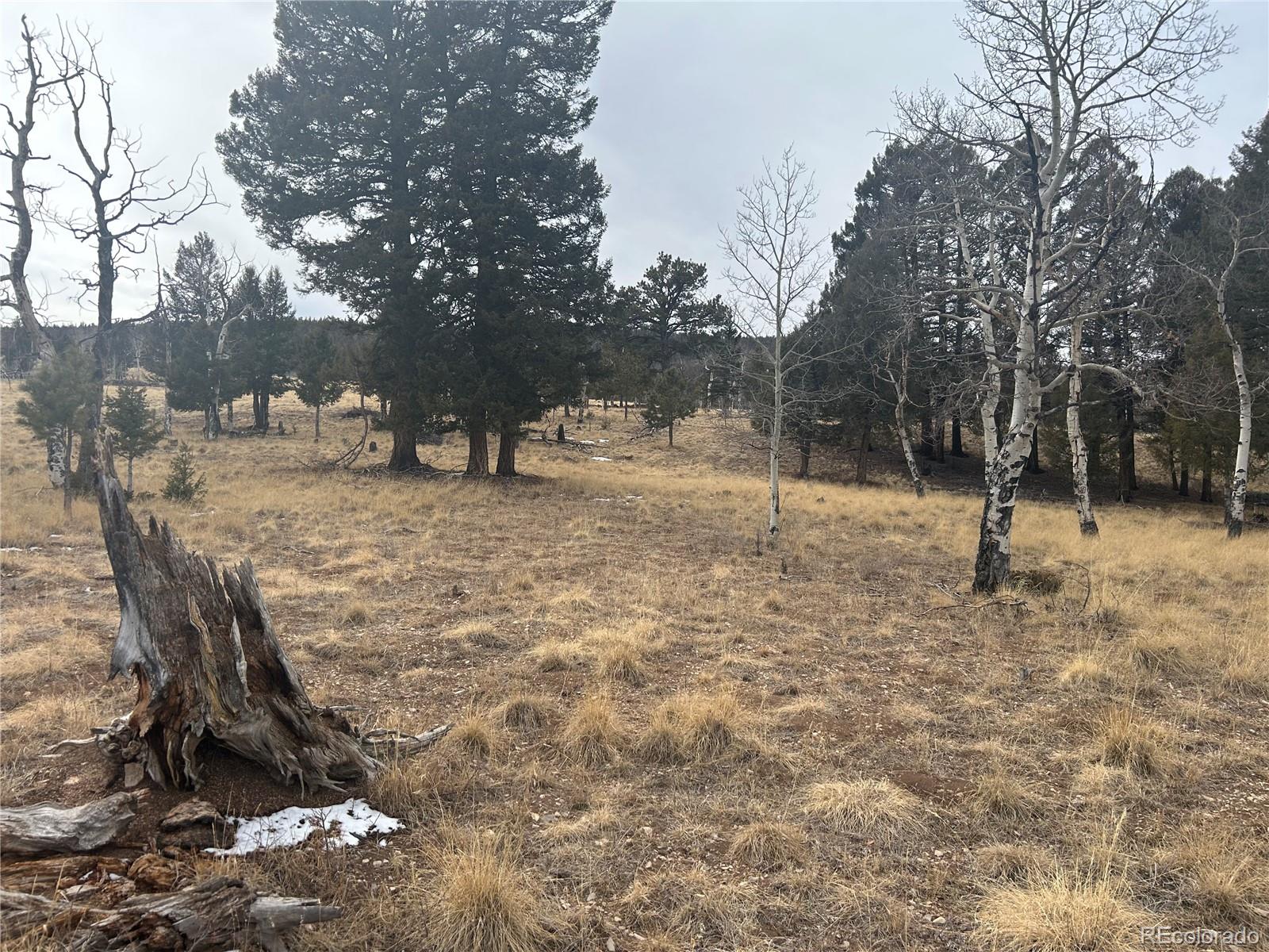 1421 Pitchfork Road Hartsel, CO 80449 - Photo 9 of 15 Gallery Image 9