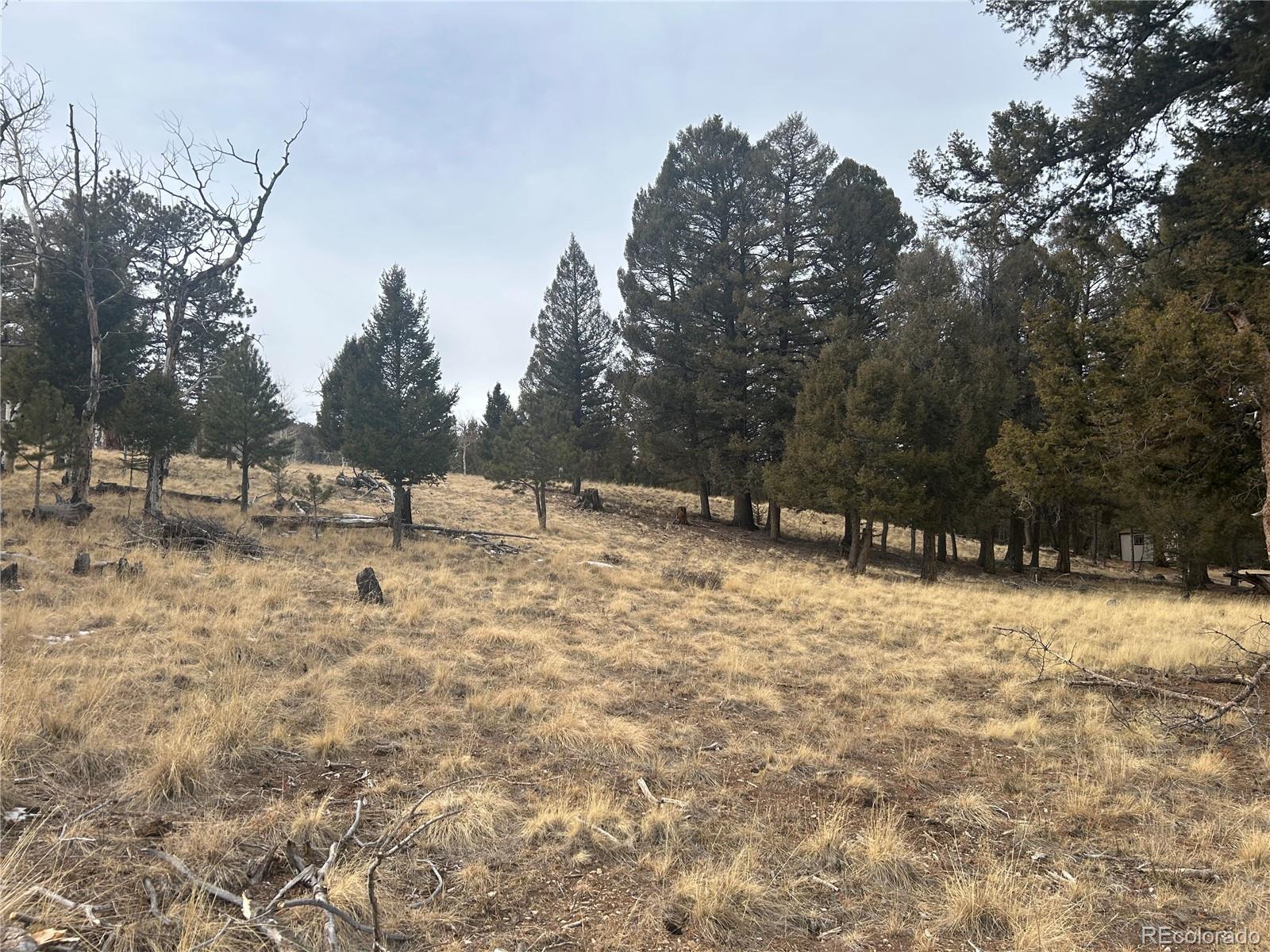 1421 Pitchfork Road Hartsel, CO 80449 - Photo 10 of 15 Gallery Image 10