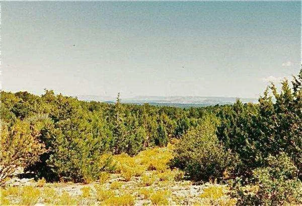 $36,000 | 314-54-009 314-54-009 Unknown Peach Springs, Seligman, AZ 86337