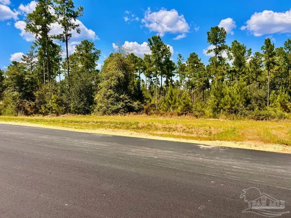 $165,000 | Lot 2 Morgans Branch, Molino, FL 32577