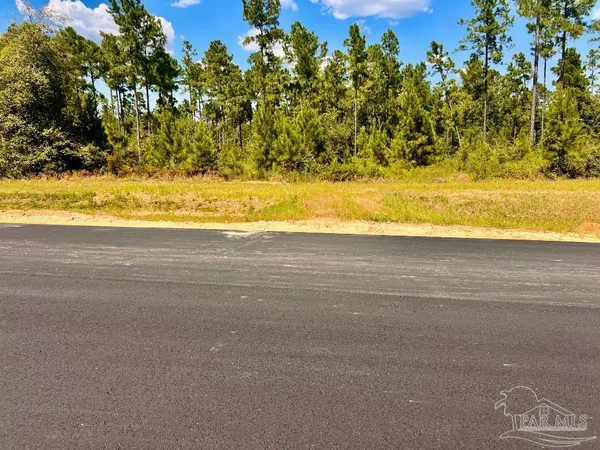 $165,000 | Lot 2 Morgans Branch, Molino, FL 32577