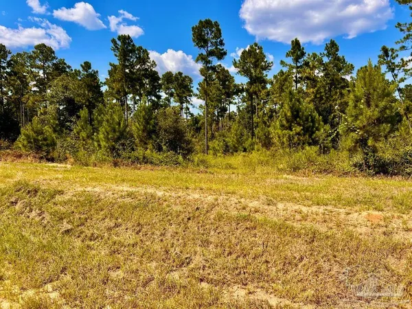$165,000 | Lot 2 Morgans Branch, Molino, FL 32577
