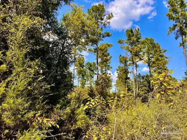 $165,000 | Lot 2 Morgans Branch, Molino, FL 32577
