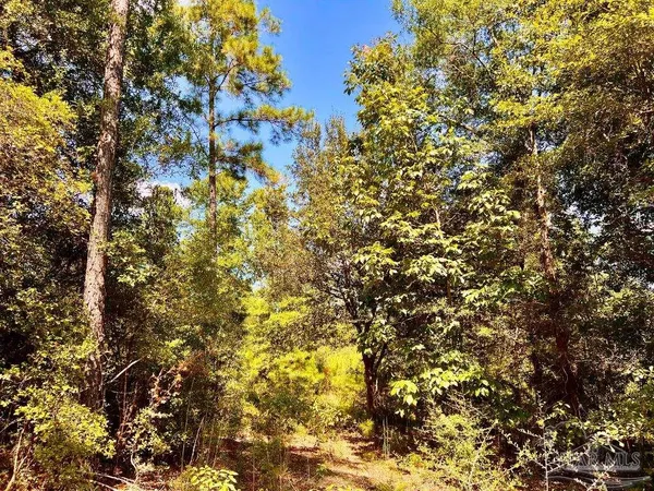 $165,000 | Lot 2 Morgans Branch, Molino, FL 32577