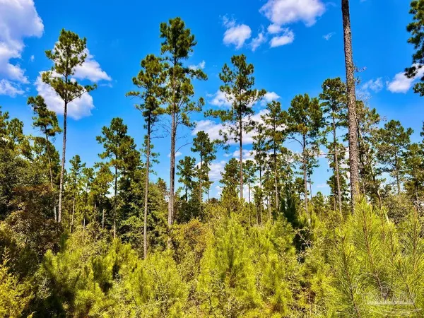 $165,000 | Lot 2 Morgans Branch, Molino, FL 32577