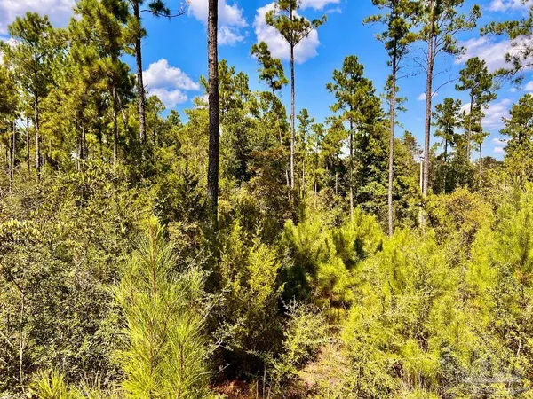 $165,000 | Lot 2 Morgans Branch, Molino, FL 32577
