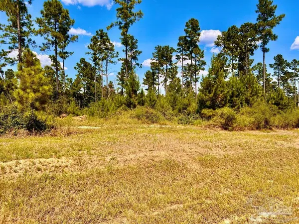 $165,000 | Lot 2 Morgans Branch, Molino, FL 32577