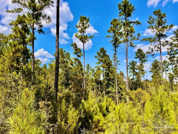 $165,000 | Lot 2 Morgans Branch, Molino, FL 32577