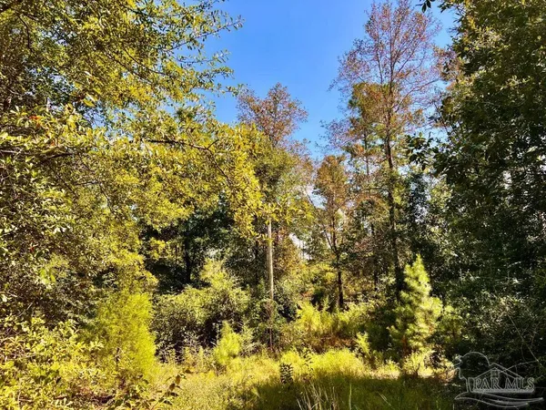 $165,000 | Lot 2 Morgans Branch, Molino, FL 32577