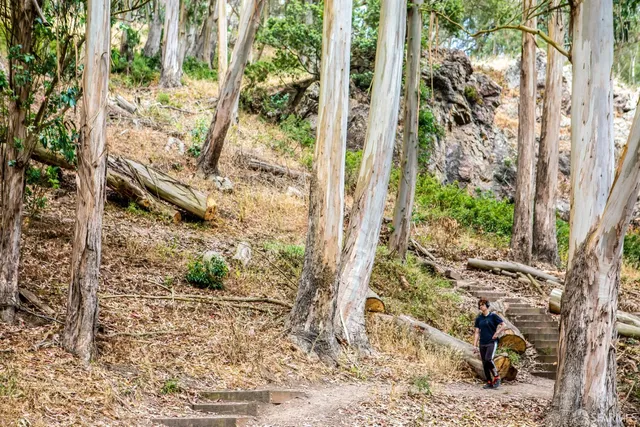 $680,000 | 20 Parkridge Drive, Unit 4, San Francisco, CA 94131