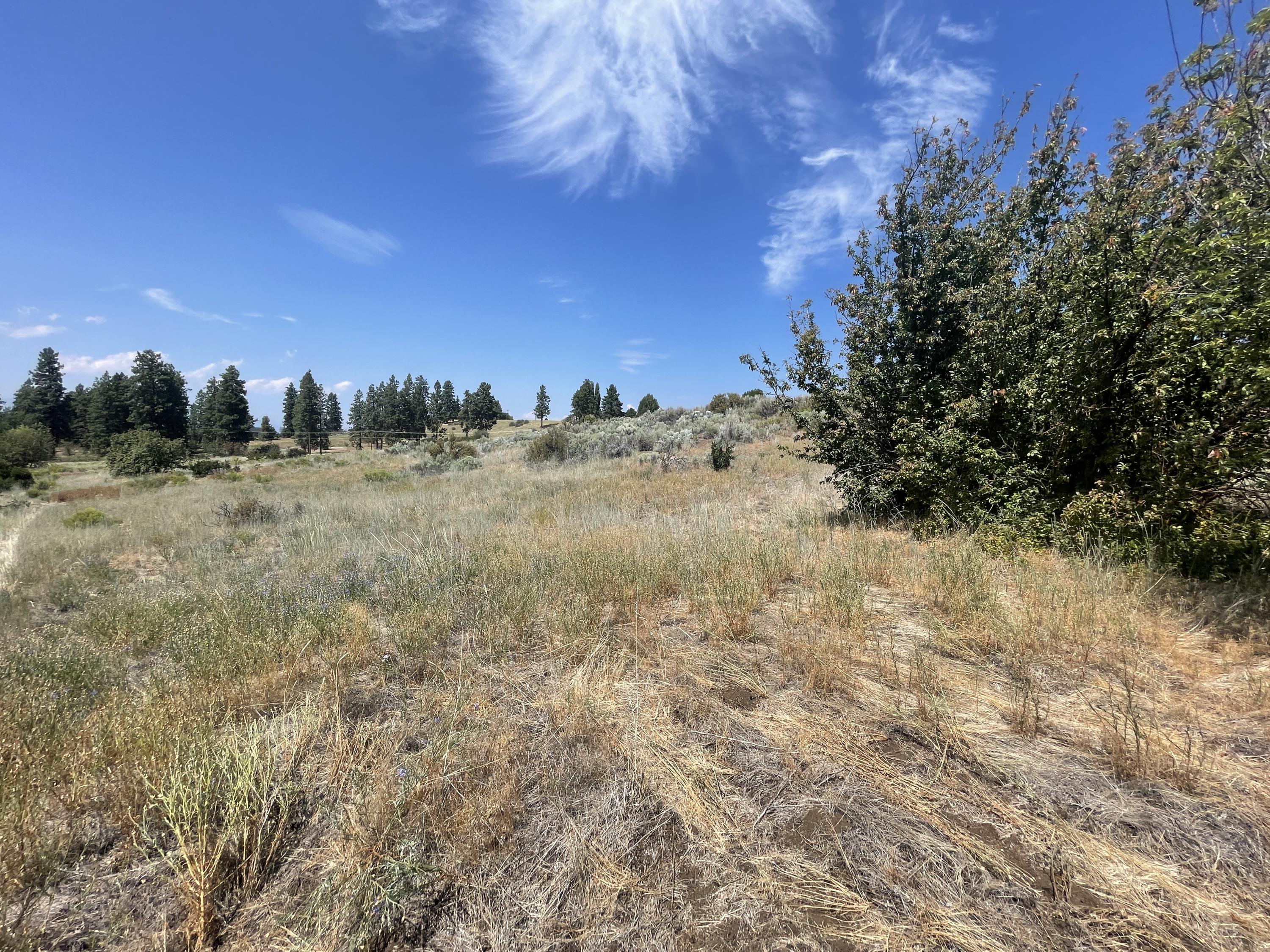 Lot 37 Pleasant View Road Chiloquin, OR 97624 - Photo 44 of 57 IMG_8236