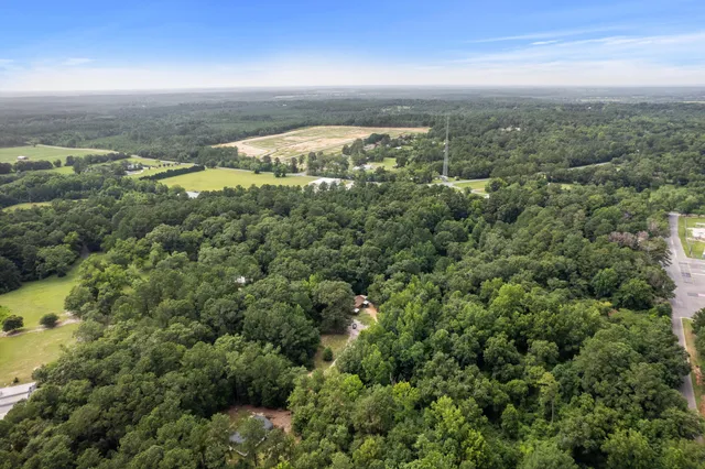 an aerial view of residential houses with outdoor space and trees
