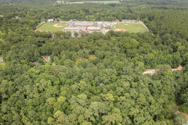 a view of a houses with a lush green forest