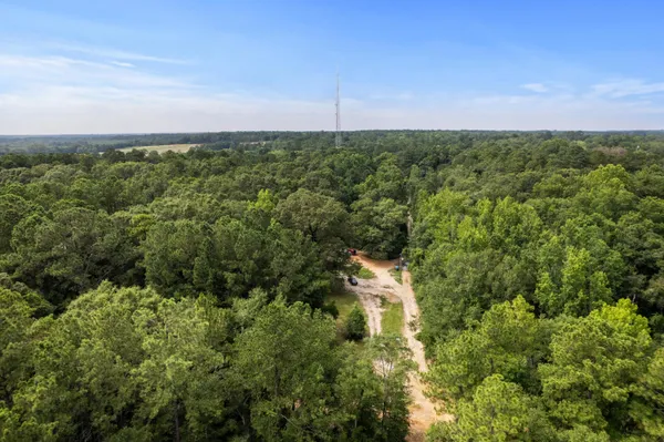 a view of a field of grass and trees