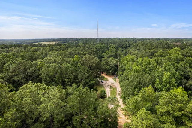 a view of a field of grass and trees