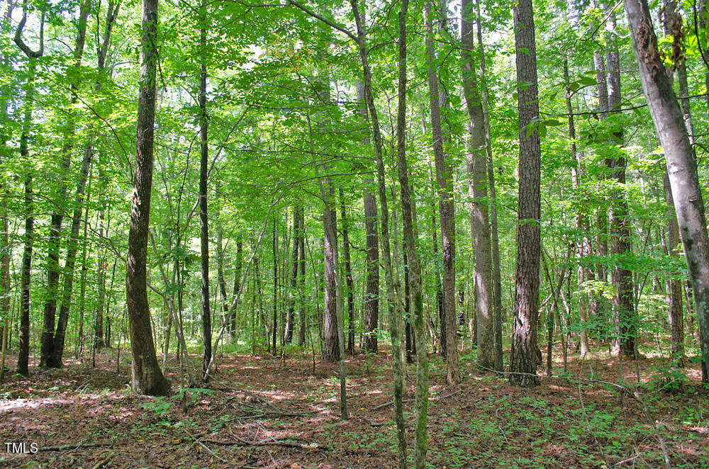 0 Range Road Stem, NC 27581 - Photo 17 of 35 DSC_0014