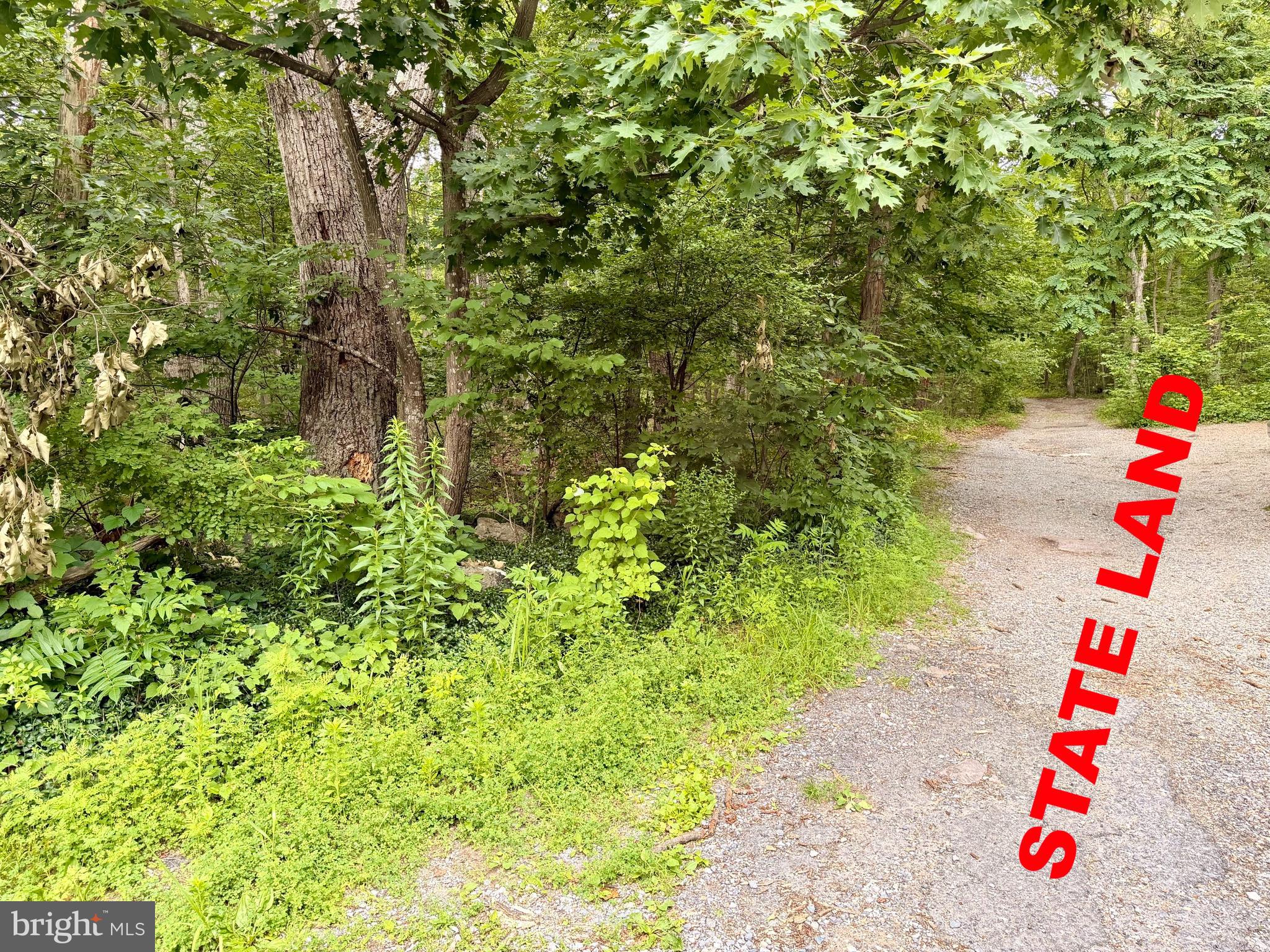 21908 White Oak Road Hagerstown, MD 21740 - Photo 4 of 9
