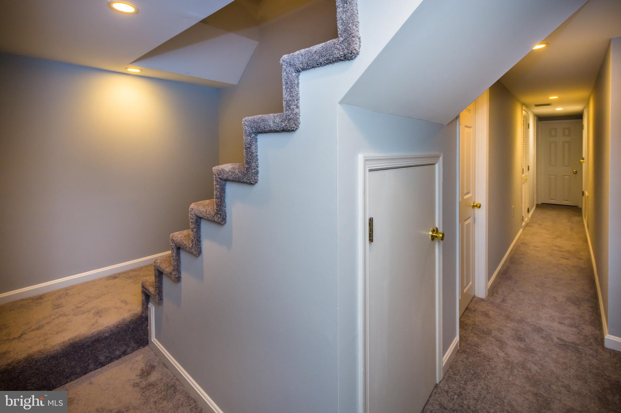 3620 Keswick Road Baltimore, MD 21211 - Photo 19 of 39 New Carpet Unit 1
