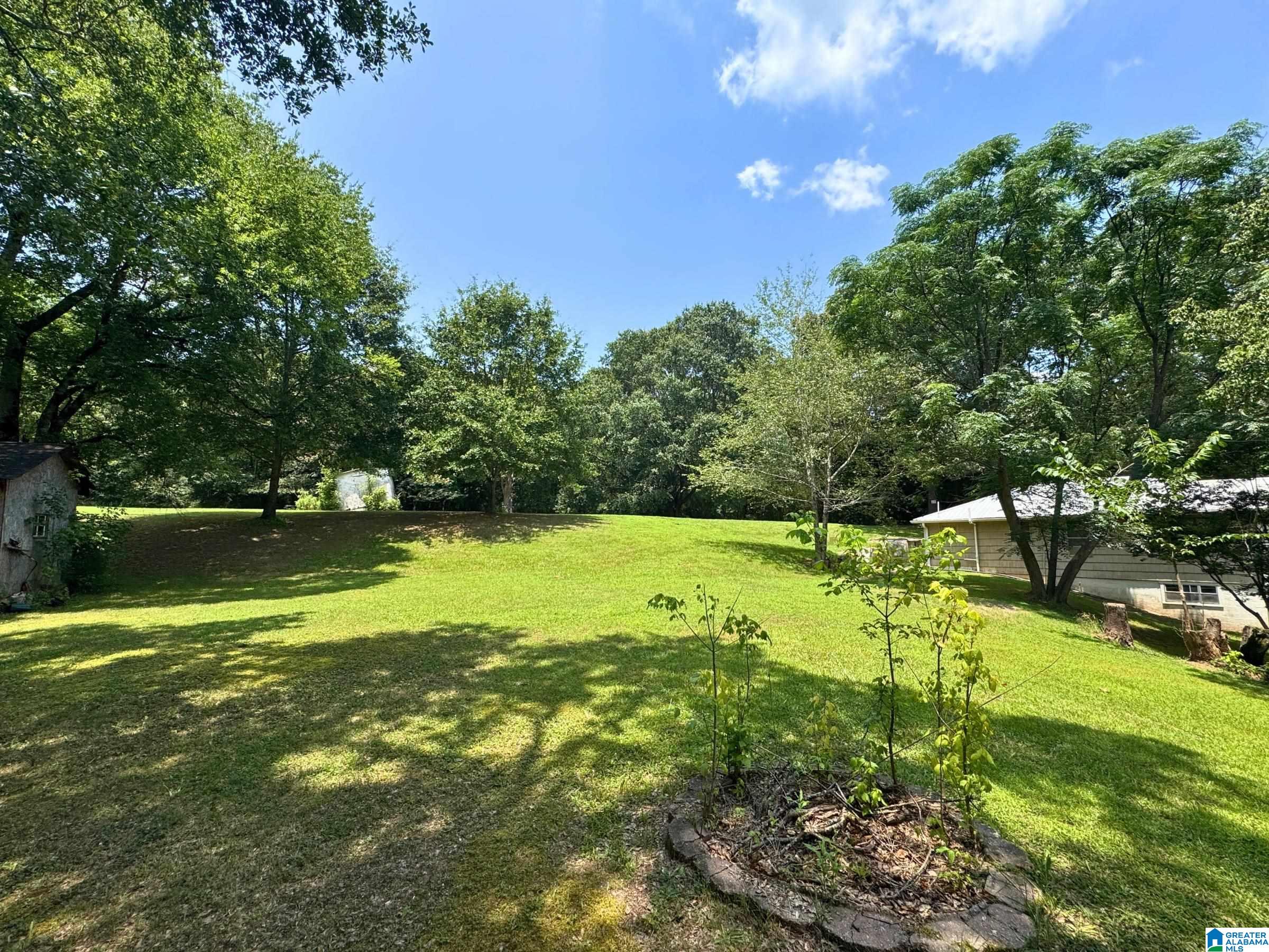 9132 3rd Avenue Trafford, AL 35172 - Photo 6 of 19