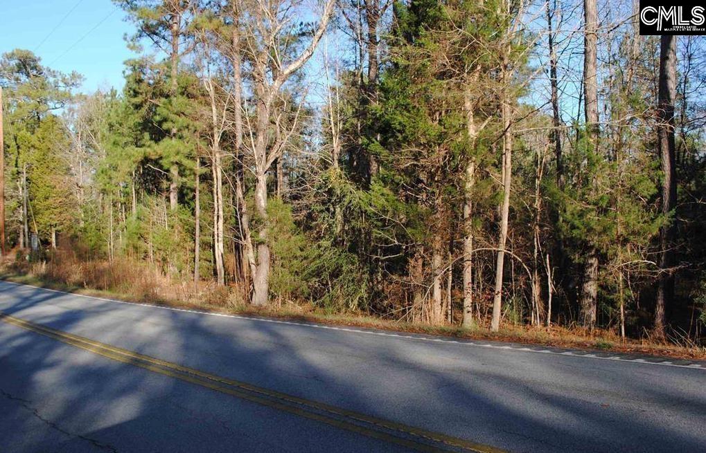 E/s Old Hilton Road Chapin, SC 29036 - Photo 2 of 6
