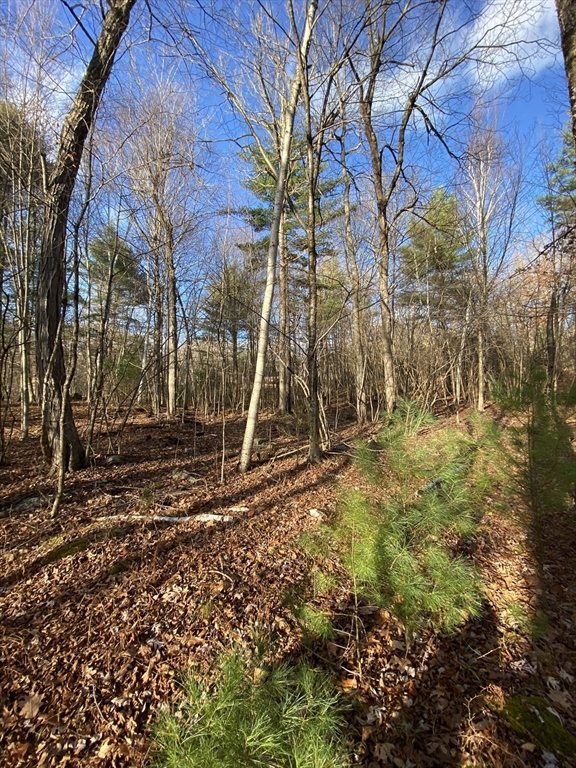 Lot B Brimfield Road Monson, MA 01057 - Photo 3 of 7 a view of backyard
