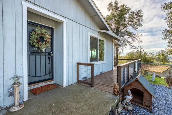 a view of a park with large trees